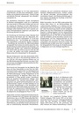 carelit_569199_9.jpg