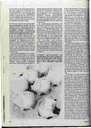 carelit_28003_4.jpg