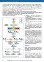 carelit_201572_6.jpg