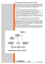 carelit_200952_3.jpg