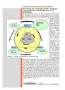 carelit_200909_5.jpg